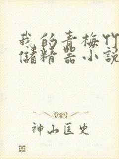 我的青梅竹马是储精器小说