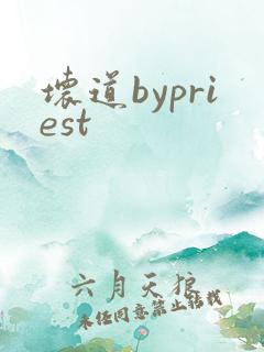 坏道bypriest