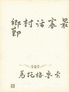 乡村活寡最新章节