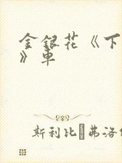 金银花《下厨房》车