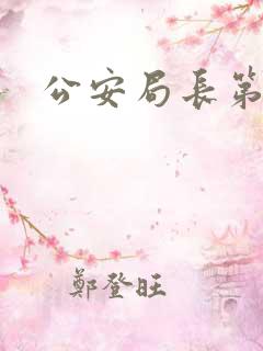 公安局长第4部