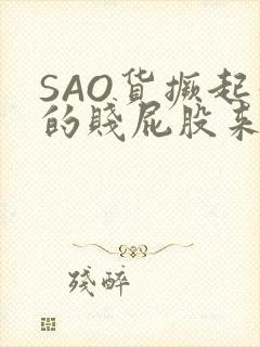 SAO货撅起你的贱屁股来