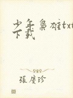 少年枭雄txt下载