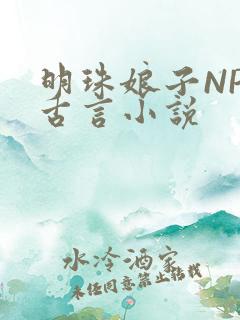 明珠娘子NPC古言小说