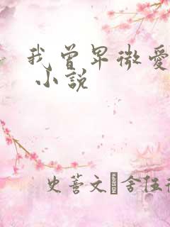我曾卑微爱过你 小说