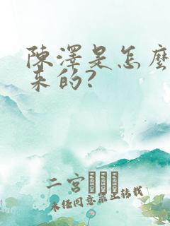 陈泽是怎么火起来的?