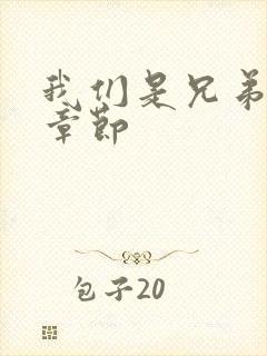 我们是兄弟最新章节