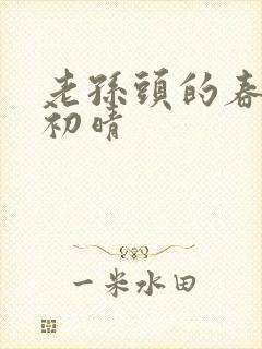 老孙头的春天林初晴