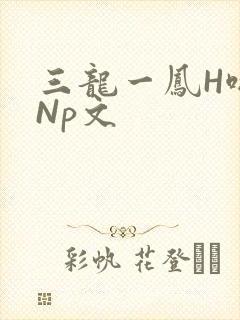 三龙一凤H啪肉Np文