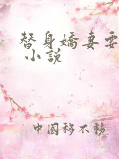 替身娇妻要离婚 小说