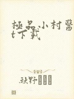 极品小村医txt下载