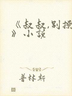 《叔叔,别撩我》小说