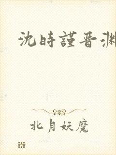 沈时谨晋渊小说