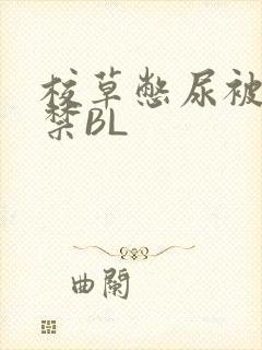 校草憋尿被揉失禁BL