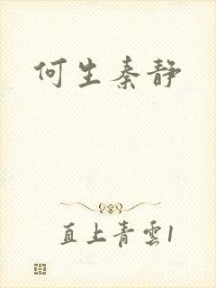 何生秦静