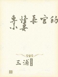 专情长官的天价小妻