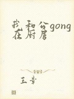 我和公gong在厨房