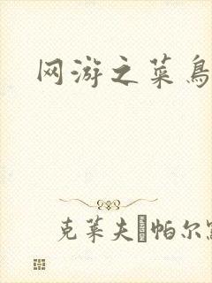 网游之菜鸟