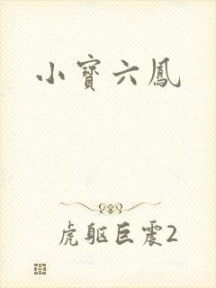 小宝六凤