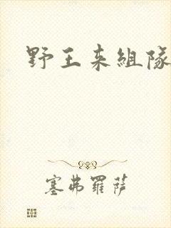 野王来组队小说