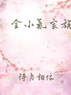 金小气家族小说