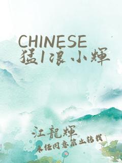 CHINESE猛1浪小辉