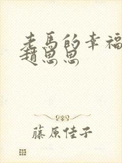 老马的幸福生活赵思思