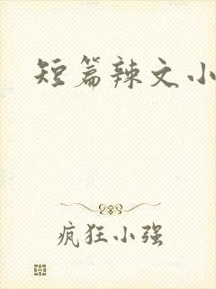 短篇辣文小说
