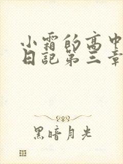 小霜的高中成长日记第三章