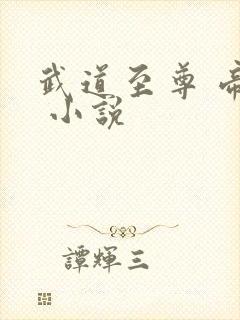 武道至尊 帝临 小说