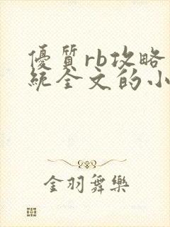 优质rb攻略系统全文的小说