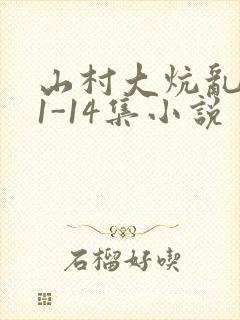 山村大炕乱肉续1-14集小说