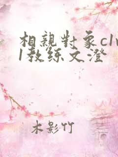 相亲对象c1v1教练文澄