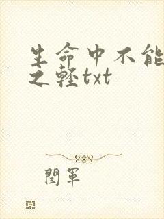 生命中不能承受之轻txt
