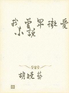 我曾卑微爱过你 小说