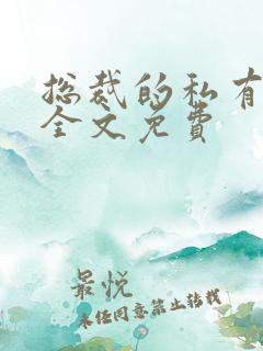 总裁的私有宝贝全文免费