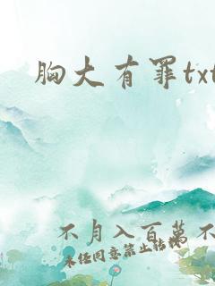 胸大有罪txt