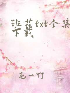 班花txt全集下载