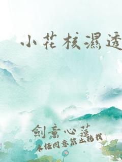 小花核湿透了