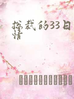 总裁的33日索情