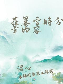 在暴雪时分54章内容