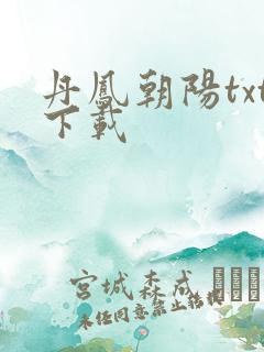 丹凤朝阳txt下载