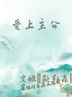 爱上主公