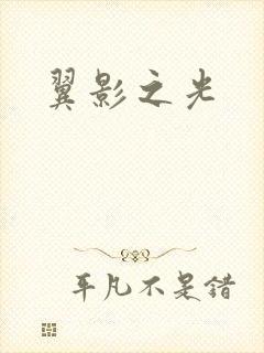 翼影之光