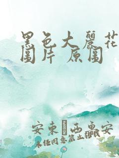 黑色大丽花真实图片 原图