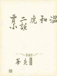 贾二虎和温如意小说