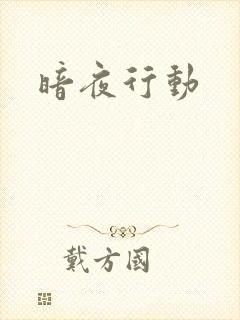 暗夜行动