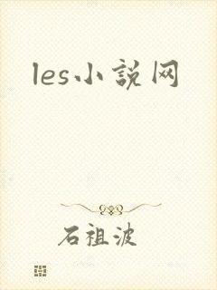 les小说网