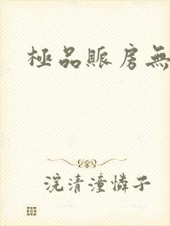 极品账房无弹窗