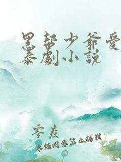 黑帮少爷爱上我泰剧小说